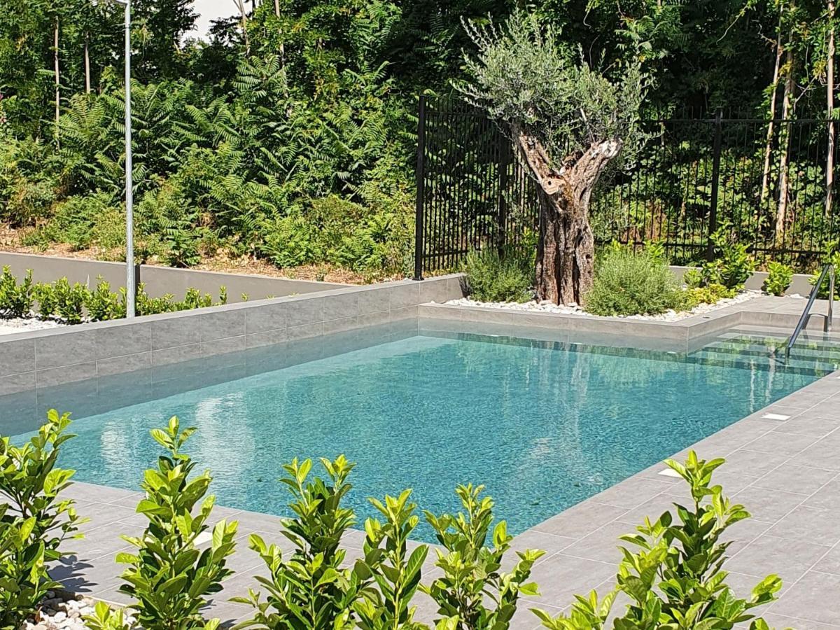 Bjelica Rental Apartments - Nela Apartment 蒂瓦特 外观 照片